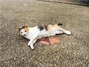 恐怖游戏《不要害怕2》实机宣传片 前作特别好评